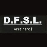 DFSL International